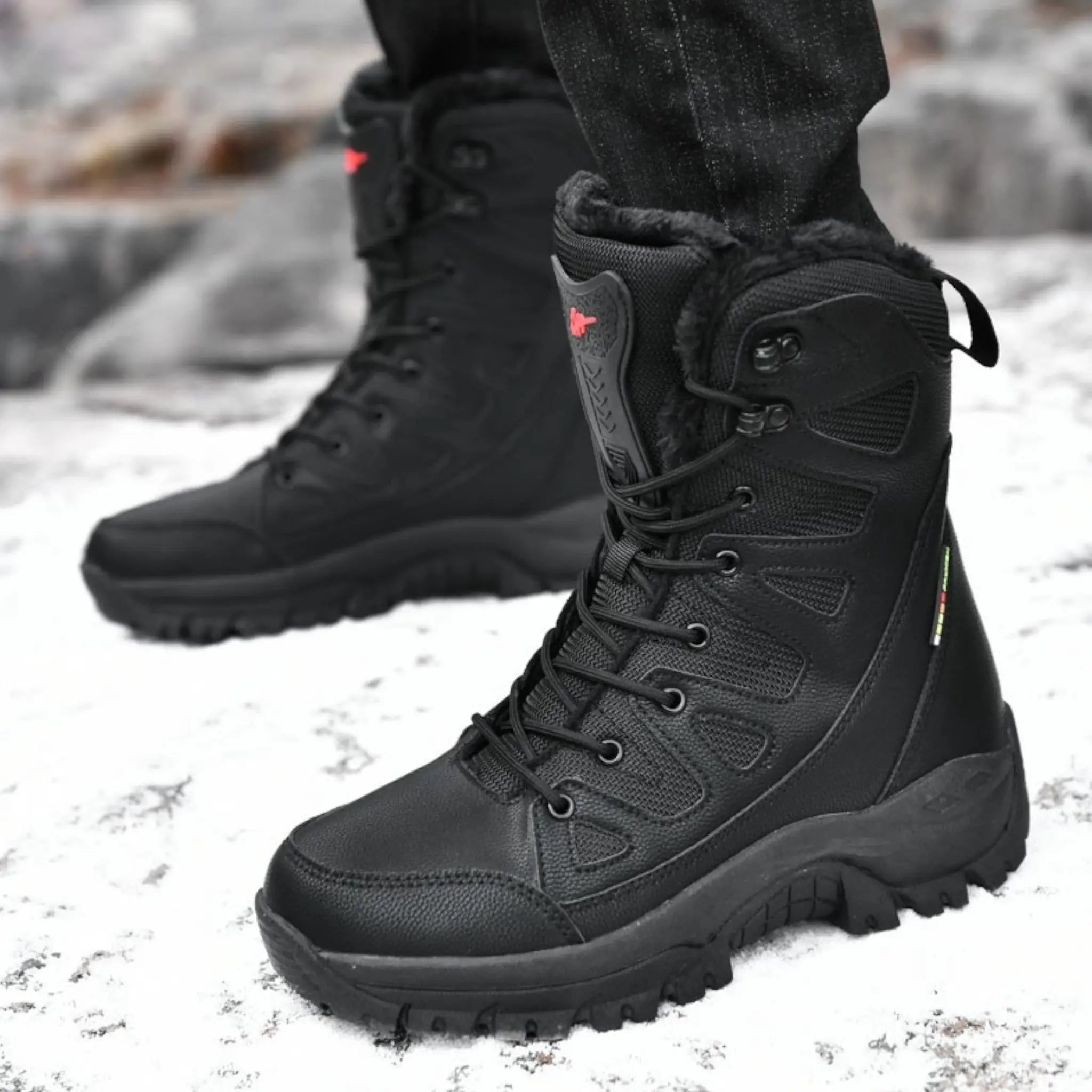 Chaussure militaire grand froid Image